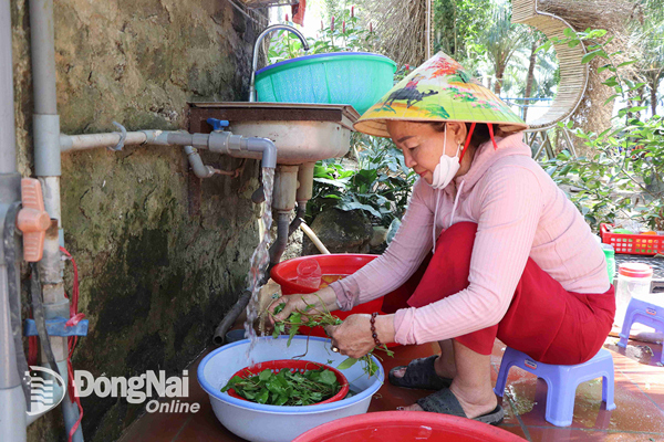 Đồng Nai đạt kết quả nổi bật trong đầu tư cho nước sạch nông thôn